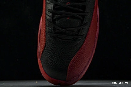 Flu Game 12 JORDAN AIR (2025) 1125